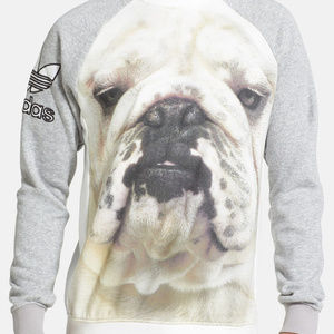 adidas french bulldog hoodie